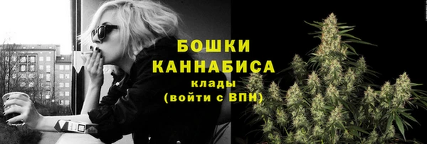 прущая мука Ельня