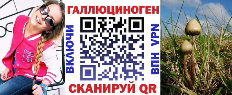 Псилоцибиновые грибы Psilocybe  Купить где  Курчалой 